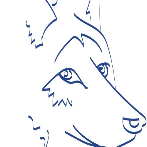  Academia de inglés Mónica Lobo en Arturo Soria. Mónica Lobo. Cambridge  todos los niveles. Centro Oficial Preparador Exams Madrid