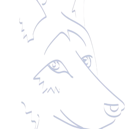 Academia de Ingles Mónica Lobo